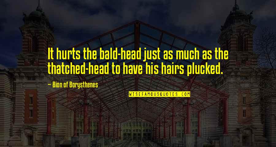 A Bald Head Quotes By Bion Of Borysthenes: It hurts the bald-head just as much as