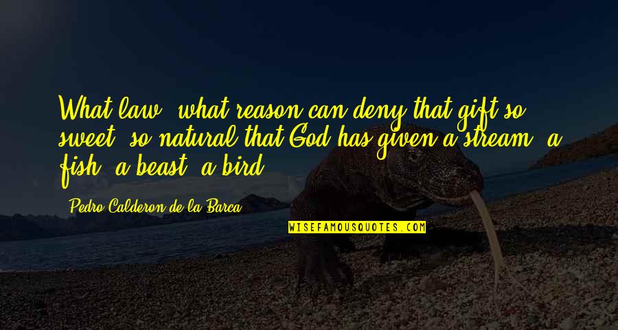 A Beast Quotes By Pedro Calderon De La Barca: What law, what reason can deny that gift