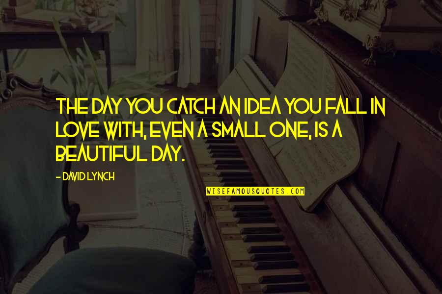 A Beautiful Day Quotes By David Lynch: The day you catch an idea you fall A Beautiful Day Quotes By David Lynch: The day you catch an idea you fall