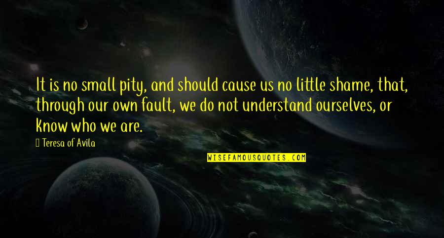 A Beautiful Disaster Book Quotes By Teresa Of Avila: It is no small pity, and should cause A Beautiful Disaster Book Quotes By Teresa Of Avila: It is no small pity, and should cause