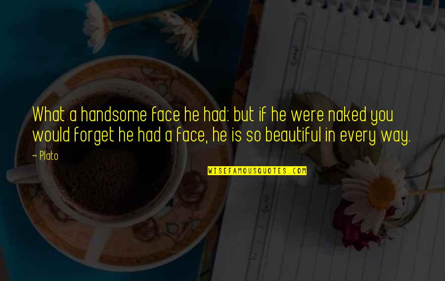 A Beautiful Face Quotes By Plato: What a handsome face he had: but if