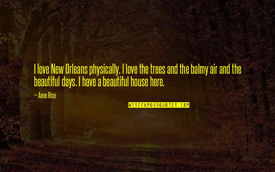 A Beautiful House Quotes By Anne Rice: I love New Orleans physically. I love the