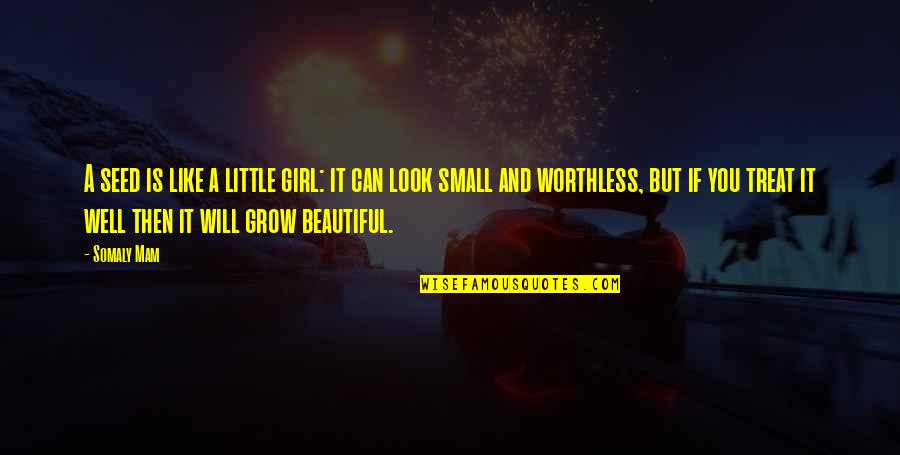 A Beautiful Little Girl Quotes By Somaly Mam: A seed is like a little girl: it