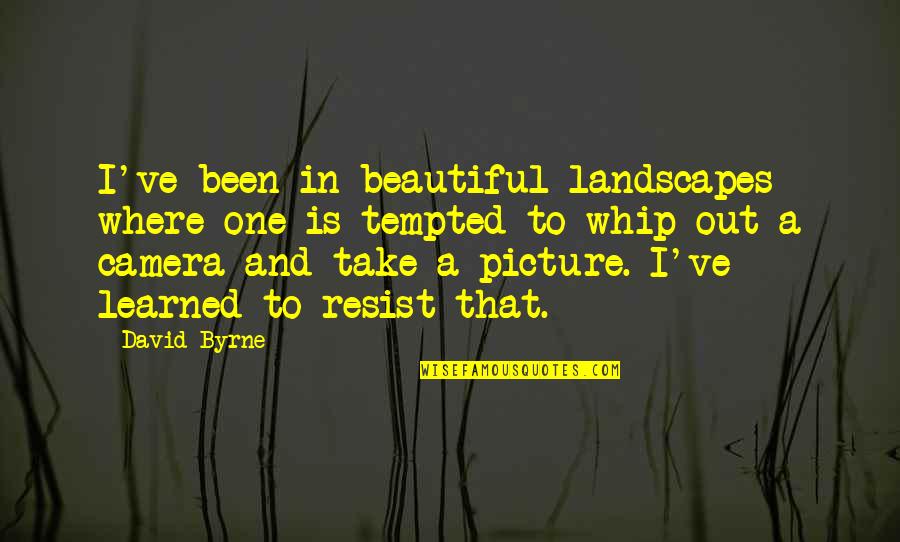 A Beautiful Picture Quotes By David Byrne: I've been in beautiful landscapes where one is
