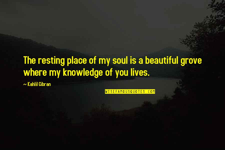 A Beautiful Place Quotes By Kahlil Gibran: The resting place of my soul is a