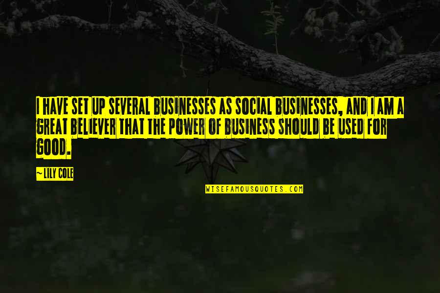 A Believer Quotes By Lily Cole: I have set up several businesses as social A Believer Quotes By Lily Cole: I have set up several businesses as social