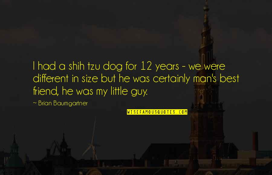 A Best Friend Guy Quotes By Brian Baumgartner: I had a shih tzu dog for 12