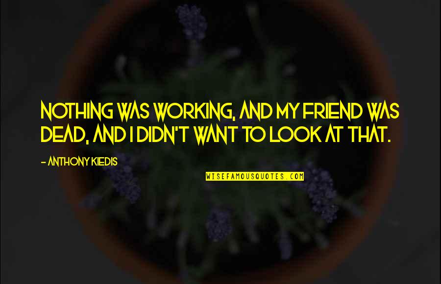A Best Friend's Death Quotes By Anthony Kiedis: Nothing was working, and my friend was dead,