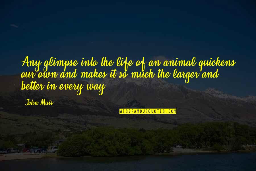 A Better Life Without You Quotes By John Muir: Any glimpse into the life of an animal