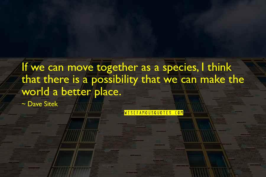 A Better Place Quotes By Dave Sitek: If we can move together as a species,