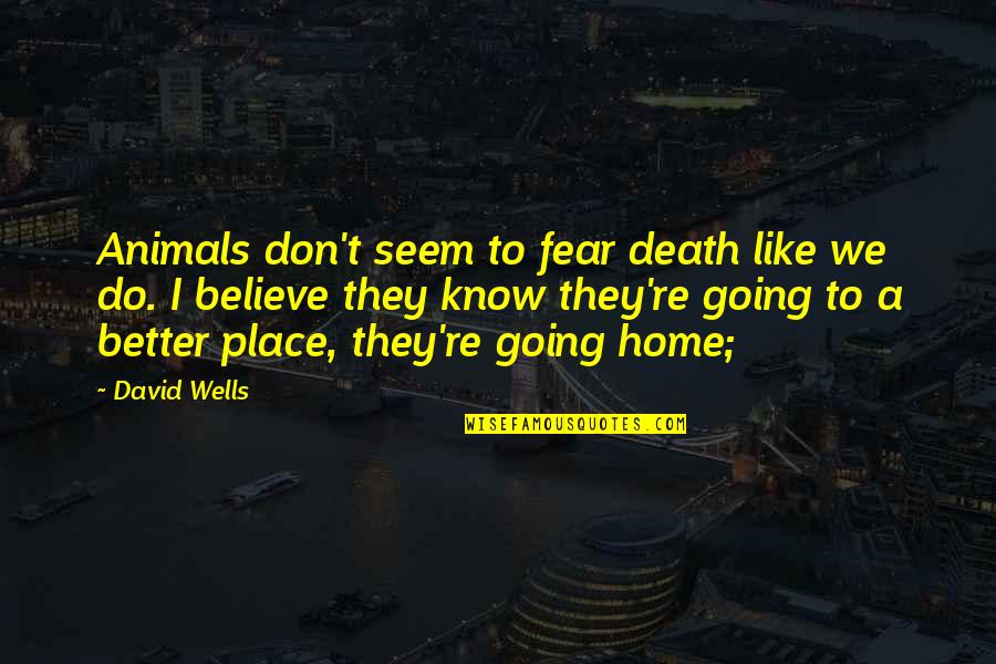 A Better Place Quotes By David Wells: Animals don't seem to fear death like we