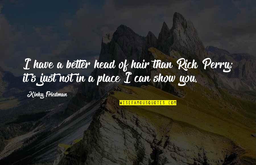 A Better Place Quotes By Kinky Friedman: I have a better head of hair than