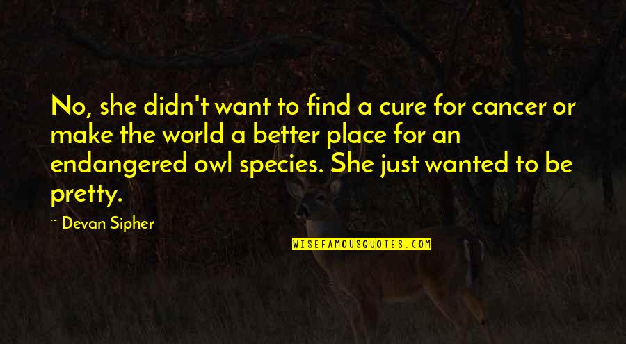 A Better World Quotes By Devan Sipher: No, she didn't want to find a cure