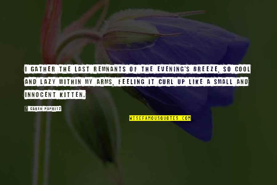 A Bible Thats Falling Apart Quotes By Carew Papritz: I gather the last remnants of the evening's