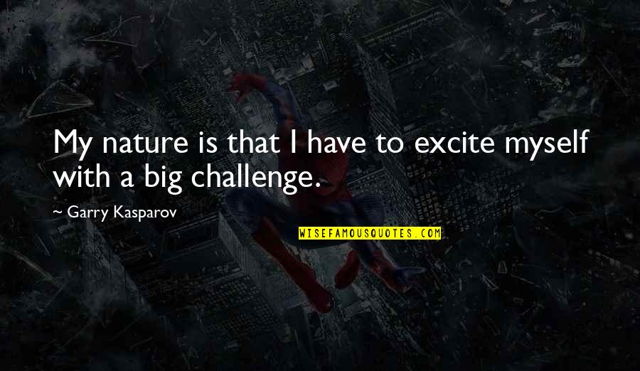 A Big Challenge Quotes By Garry Kasparov: My nature is that I have to excite