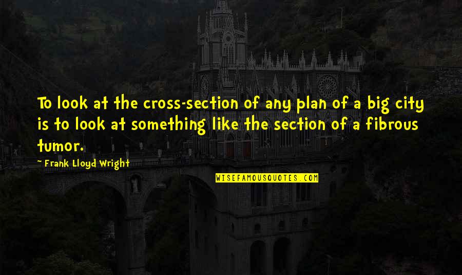 A Big City Quotes By Frank Lloyd Wright: To look at the cross-section of any plan