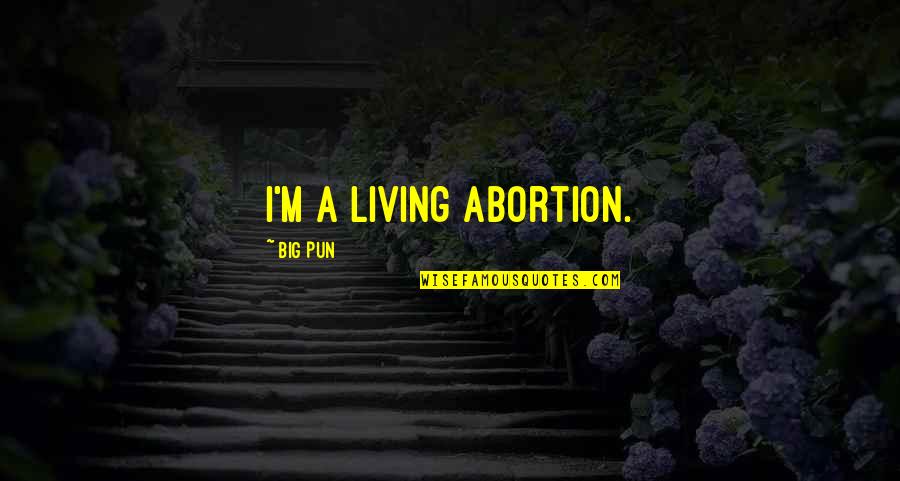 A Big Family Quotes By Big Pun: I'm a living abortion.