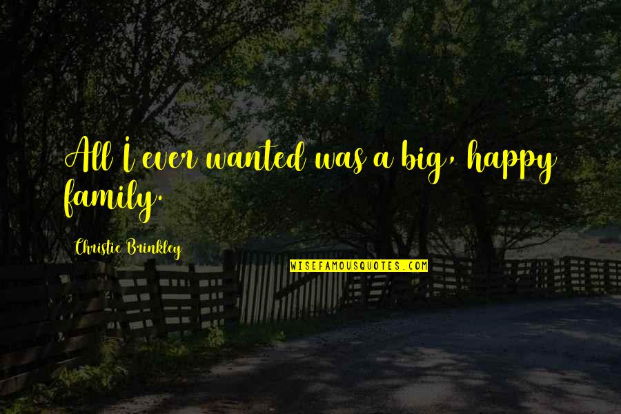 A Big Family Quotes By Christie Brinkley: All I ever wanted was a big, happy