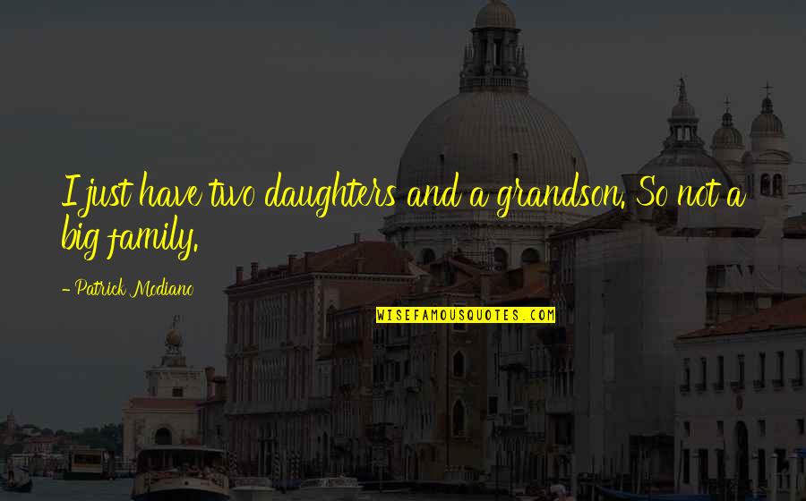 A Big Family Quotes By Patrick Modiano: I just have two daughters and a grandson.