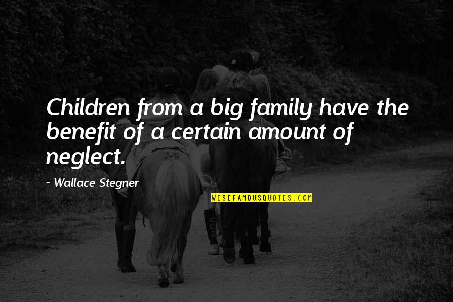 A Big Family Quotes By Wallace Stegner: Children from a big family have the benefit