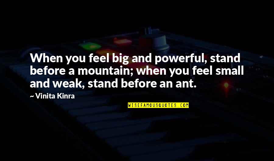 A Big Quote Quotes By Vinita Kinra: When you feel big and powerful, stand before