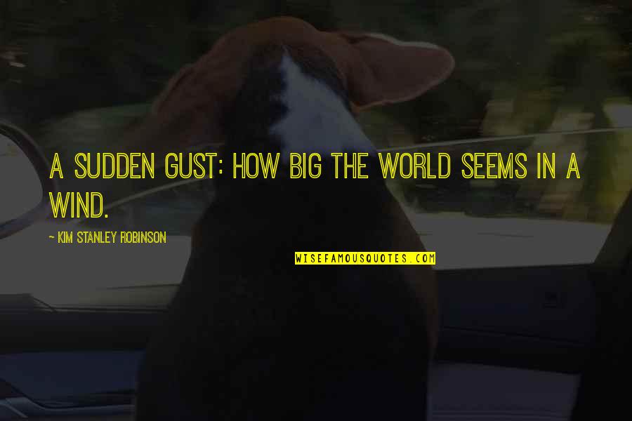 A Big World Quotes By Kim Stanley Robinson: A sudden gust: How big the world seems