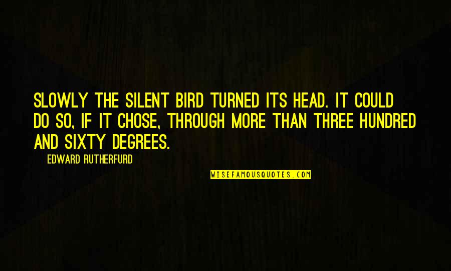 A Bird On The Head Quotes By Edward Rutherfurd: Slowly the silent bird turned its head. It