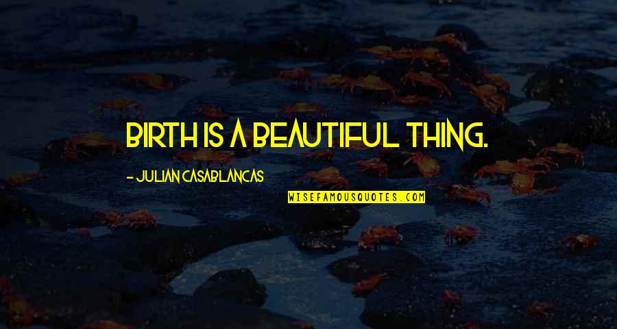 A Birth Quotes By Julian Casablancas: Birth is a beautiful thing.