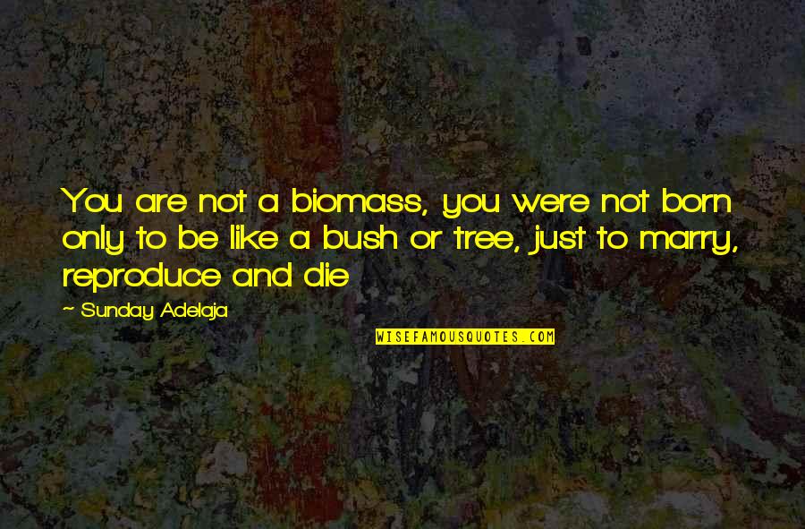 A Birth Quotes By Sunday Adelaja: You are not a biomass, you were not