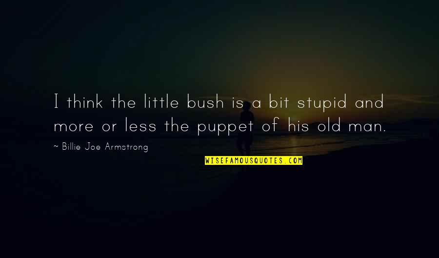 A Bit More Quotes By Billie Joe Armstrong: I think the little bush is a bit