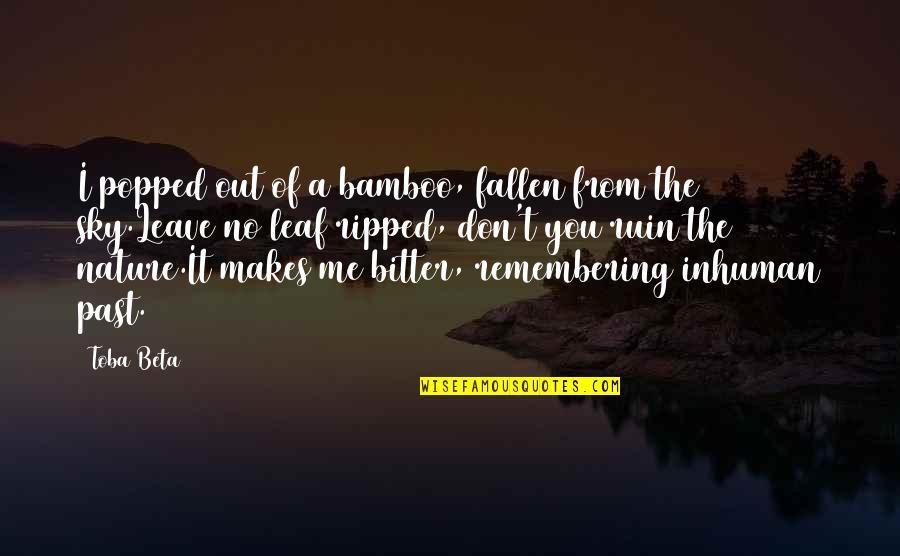 A Bitter Ex Quotes By Toba Beta: I popped out of a bamboo, fallen from