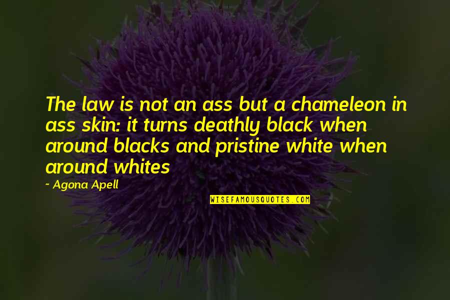 A Black And White Quotes By Agona Apell: The law is not an ass but a A Black And White Quotes By Agona Apell: The law is not an ass but a