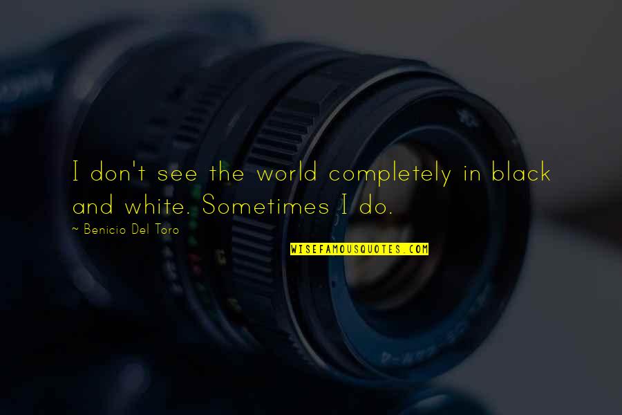 A Black And White World Quotes By Benicio Del Toro: I don't see the world completely in black