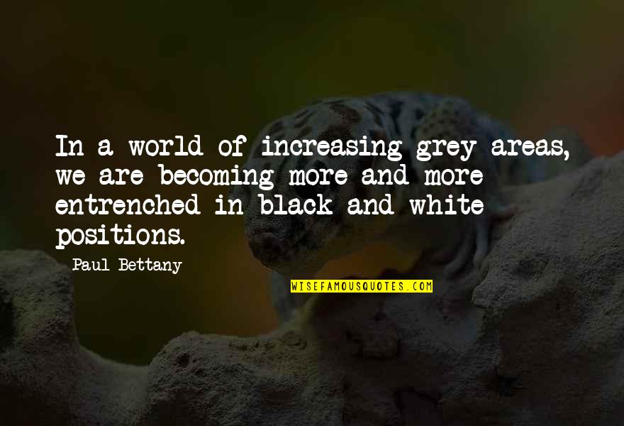A Black And White World Quotes By Paul Bettany: In a world of increasing grey areas, we