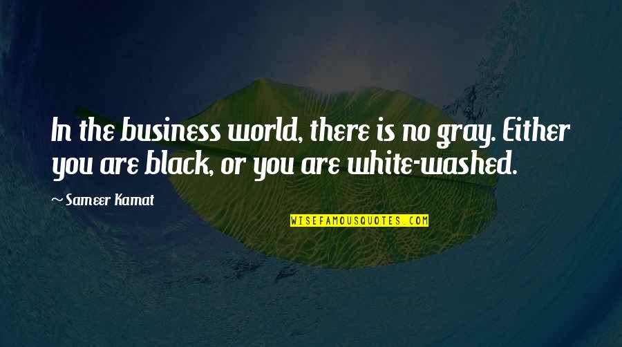 A Black And White World Quotes By Sameer Kamat: In the business world, there is no gray.
