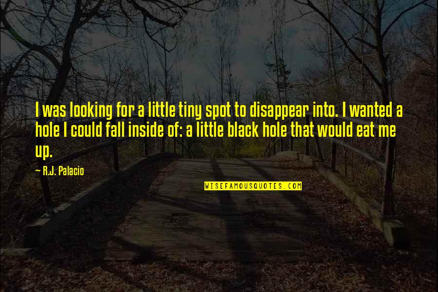 A Black Hole Quotes By R.J. Palacio: I was looking for a little tiny spot