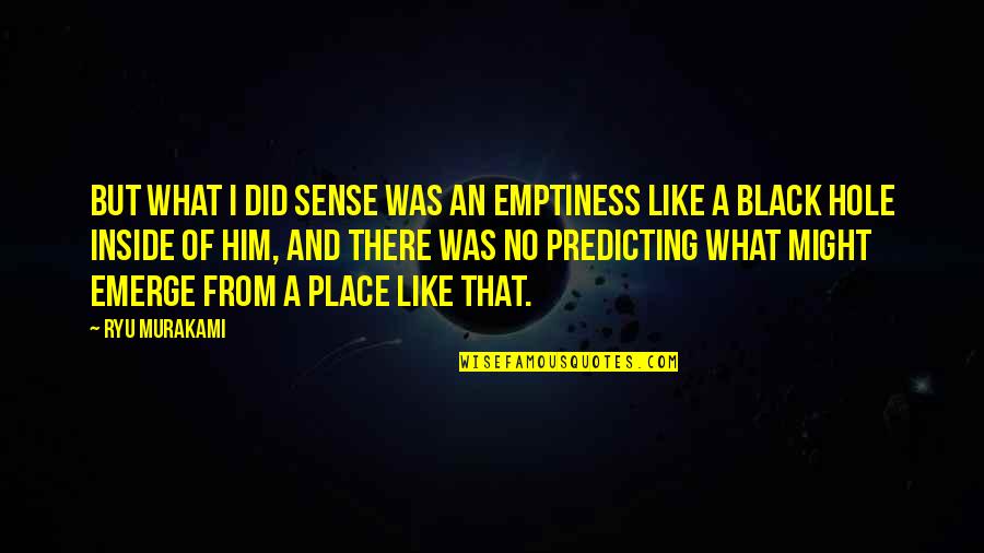 A Black Hole Quotes By Ryu Murakami: But what I did sense was an emptiness