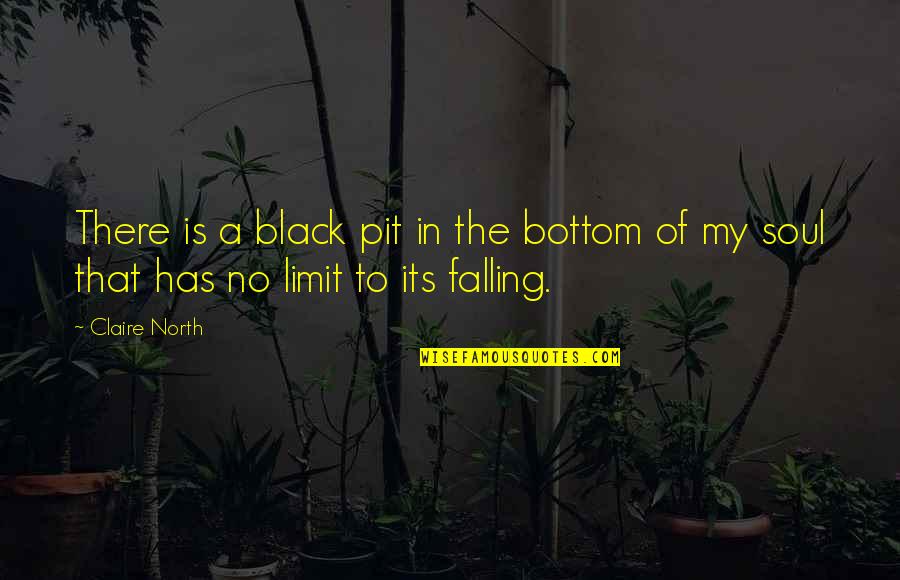 A Black Soul Quotes By Claire North: There is a black pit in the bottom