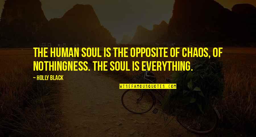 A Black Soul Quotes By Holly Black: The human soul is the opposite of chaos,