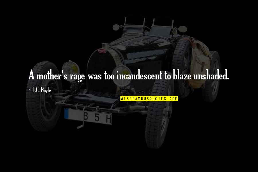 A Blaze Quotes By T.C. Boyle: A mother's rage was too incandescent to blaze