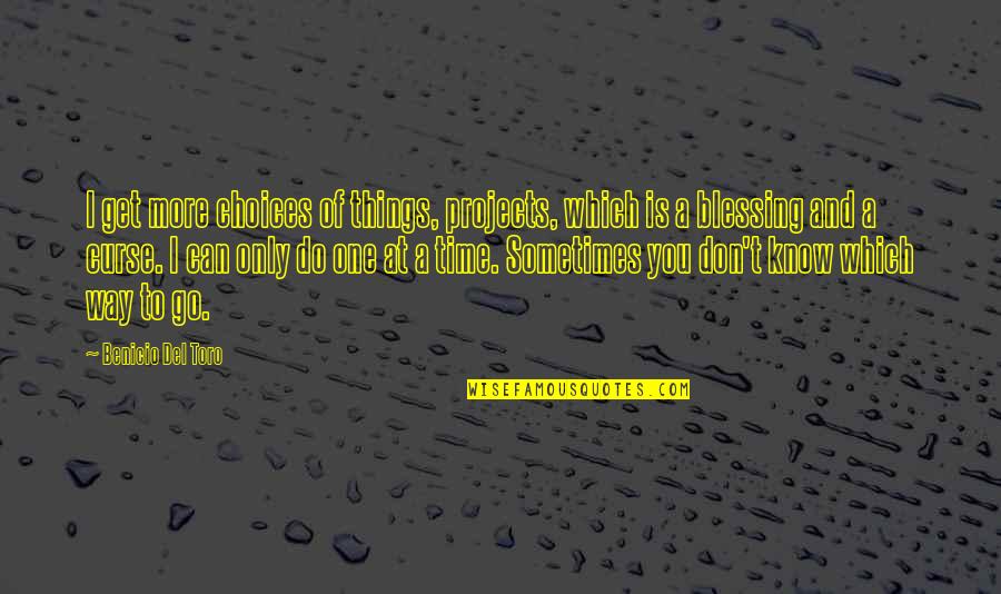 A Blessing Quotes By Benicio Del Toro: I get more choices of things, projects, which