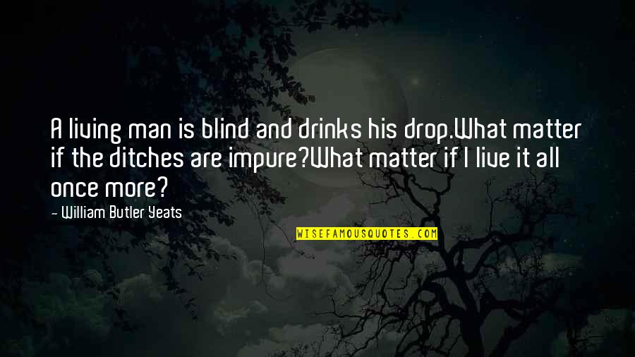 A Blind Man Quotes By William Butler Yeats: A living man is blind and drinks his