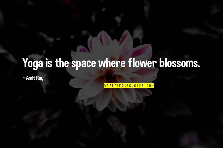 A Blossoming Flower Quotes By Amit Ray: Yoga is the space where flower blossoms.
