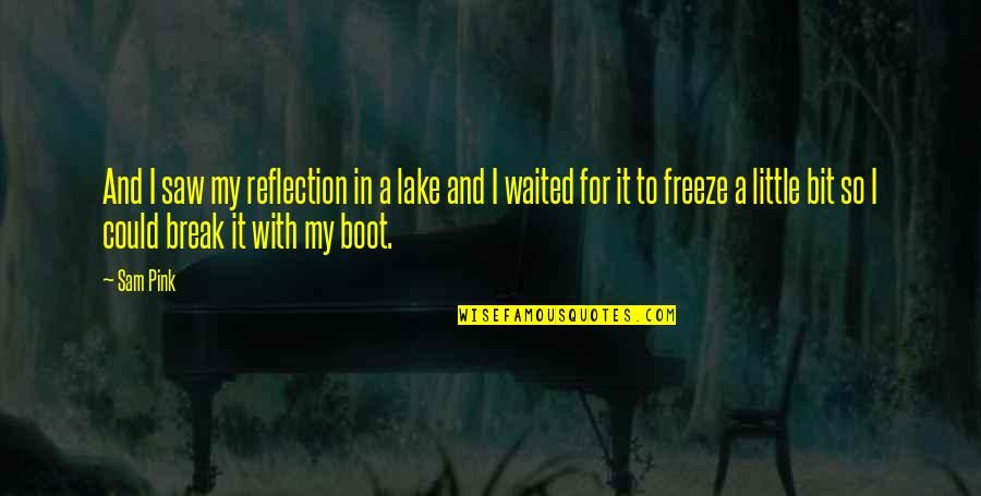 A Boot Quotes By Sam Pink: And I saw my reflection in a lake