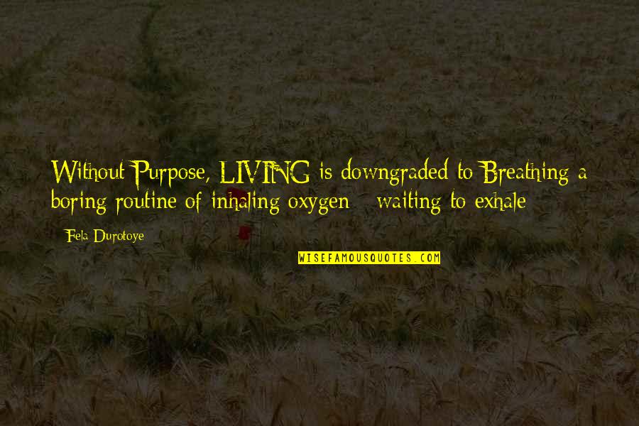 A Boring Life Quotes By Fela Durotoye: Without Purpose, LIVING is downgraded to Breathing a A Boring Life Quotes By Fela Durotoye: Without Purpose, LIVING is downgraded to Breathing a