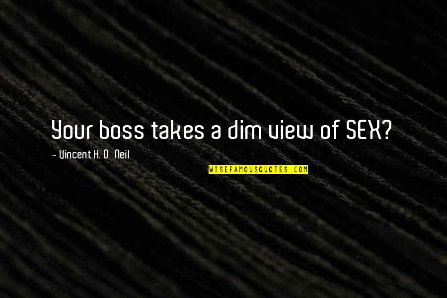 A Boss Quotes By Vincent H. O'Neil: Your boss takes a dim view of SEX?