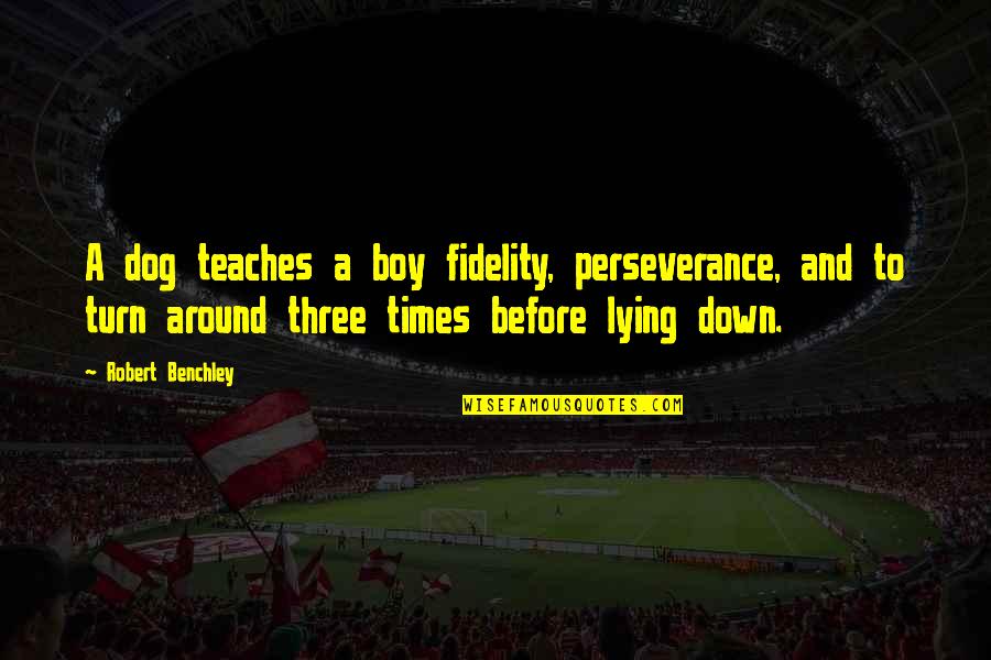 A Boy Lying To You Quotes By Robert Benchley: A dog teaches a boy fidelity, perseverance, and A Boy Lying To You Quotes By Robert Benchley: A dog teaches a boy fidelity, perseverance, and