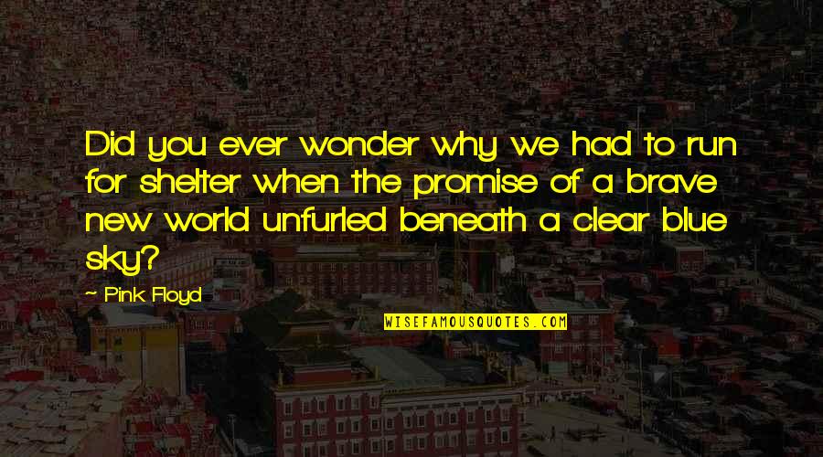 A Brave New World Quotes By Pink Floyd: Did you ever wonder why we had to