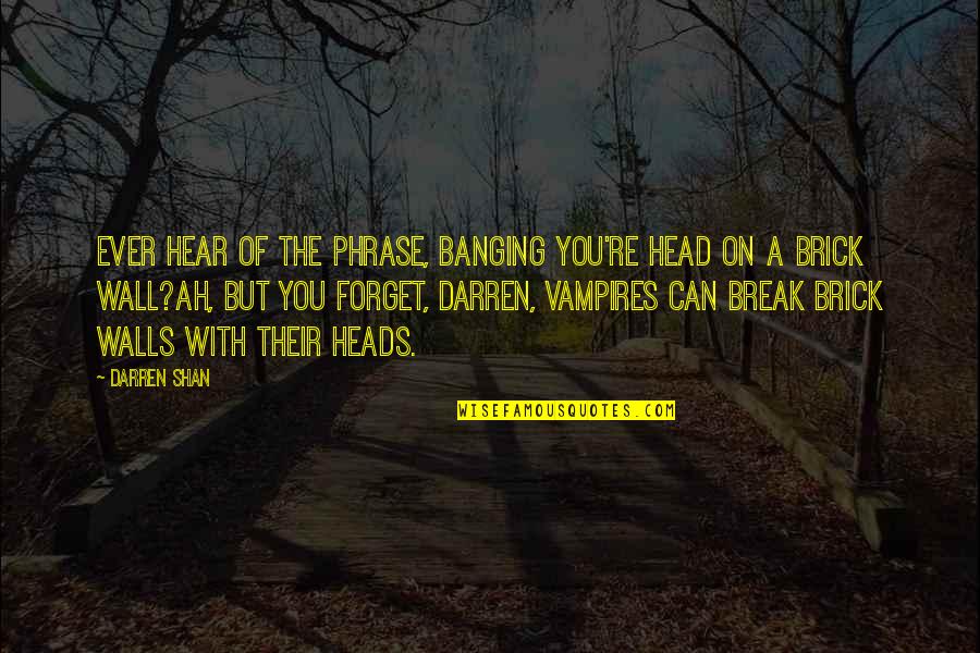 A Brick Wall Quotes By Darren Shan: Ever hear of the phrase, Banging you're head