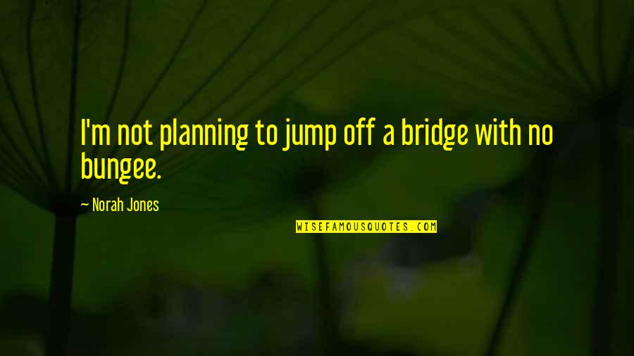 A Bridge Quotes By Norah Jones: I'm not planning to jump off a bridge